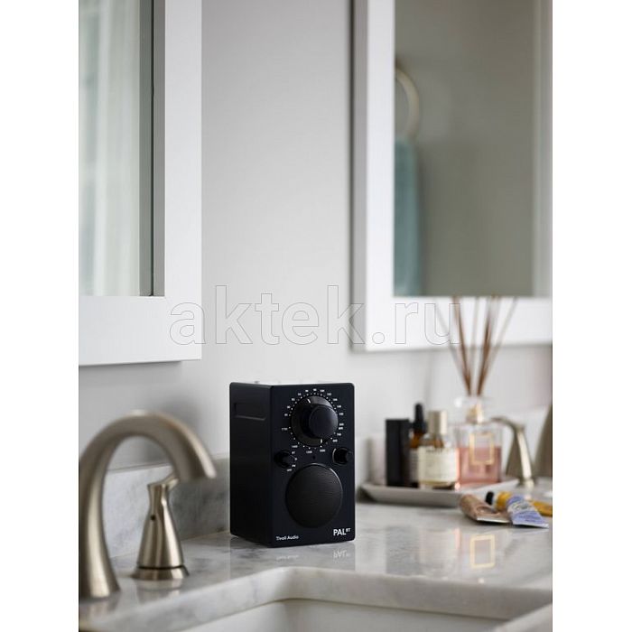 Tivoli Audio PAL BT Black портативный Bluetooth/FM-радиоприёмник с аккумулятором 5