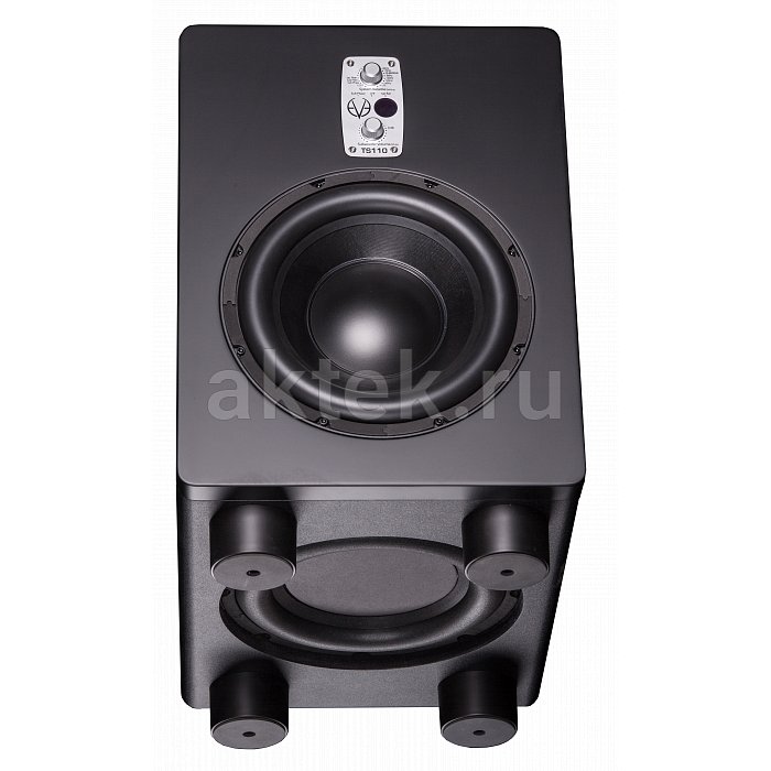Студийный сабвуфер EVE AUDIO TS110 2
