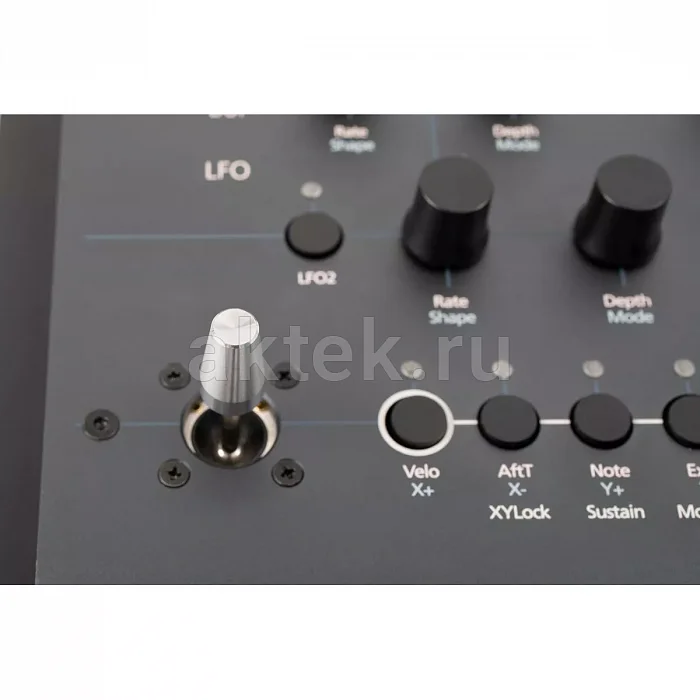 Modal Argon8 синтезатор, 37 клавиш, 8 голосов 4