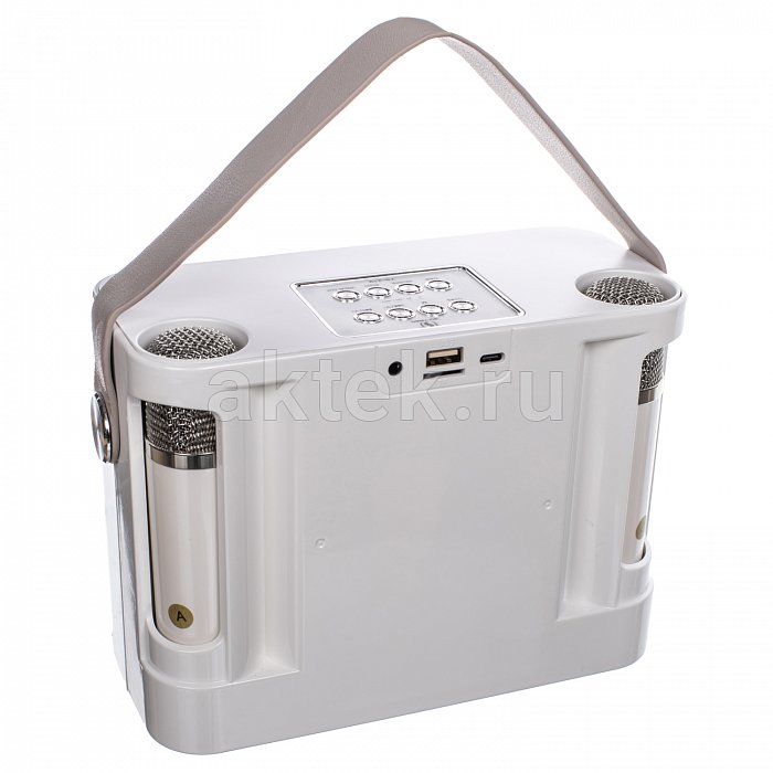 Портативная караоке колонка с микрофонами SkyDisco YS-219 white 7
