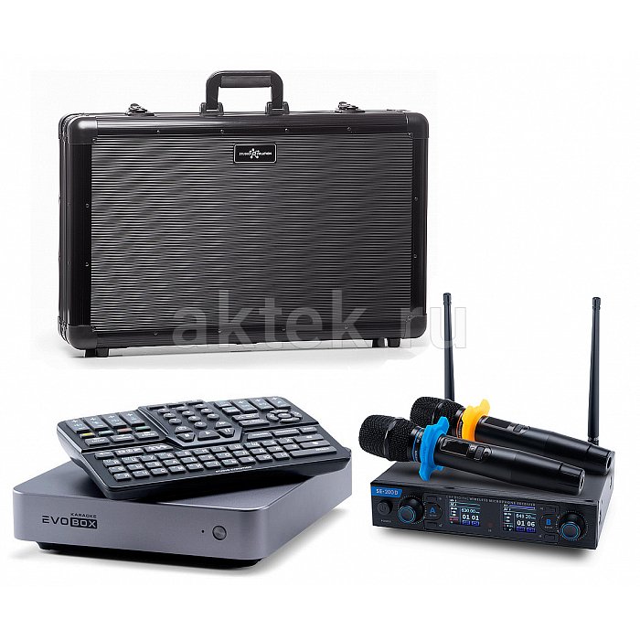 Караоке система для дома EVOBOX+SE 200D+EvoCase Graphite
