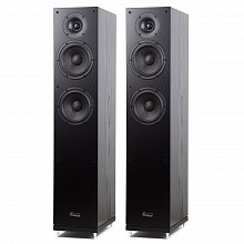 Напольная акустическая система Radiotehnika Gamma 3.02 Black Ash