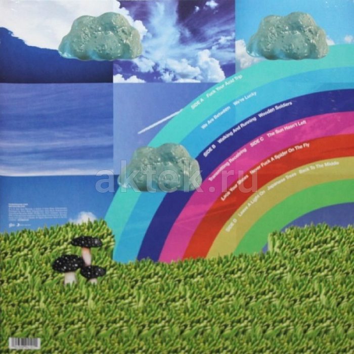 Виниловая пластинка MODEST MOUSE - GOLDEN CASKET 180 GRAM BLACK VINYL 12" 2