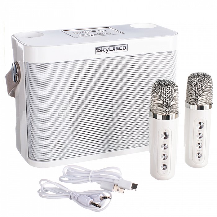 Портативная караоке колонка с микрофонами SkyDisco YS-219 white 5