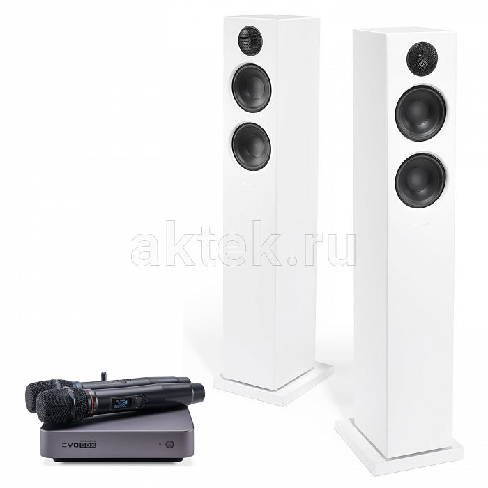 Караоке система с микрофонами и акустикой Studio Evolution EVOBOX Plus+Audio Pro A38 white