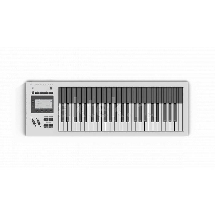 MIDI-клавиатура Expressive E Osmose 49 CE