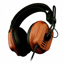Полноразмерные наушники Fostex T60RP