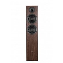 Phaze Audio Tilia 1 Dark Oak пассивные напольники 2×6,5″ 35–150Вт 2