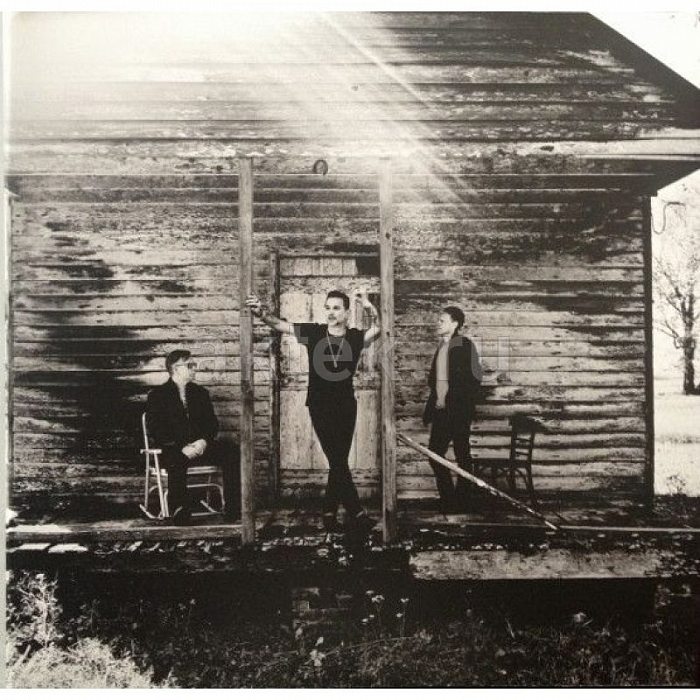 Виниловая пластинка DEPECHE MODE - DELTA MACHINE 180 GRAM BLACK VINYL 12" 3