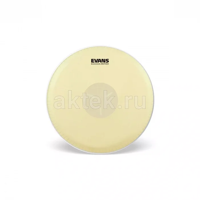 Evans EB07 Bongo Head 7-1/4" пластик для бонго