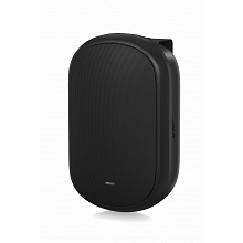 Tannoy DVS 601 настенная трансляционная акустика IP64 100 Вт
