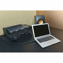 AudioQuest DragonFly Black портативный ЦАП 3 AudioQuest DragonFly Black портативный ЦАП 3