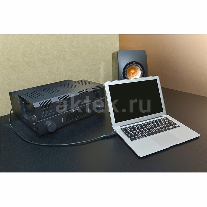 AudioQuest DragonFly Black портативный ЦАП 3