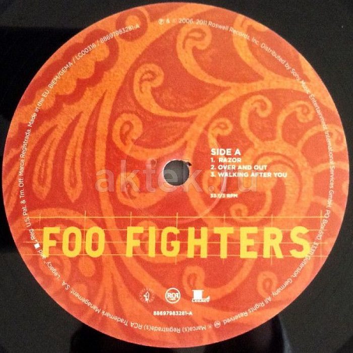 Виниловая пластинка FOO FIGHTERS - SKIN AND BONES 180 GRAM BLACK VINYL 12" 3