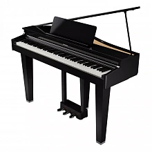 Roland GP 3 PE цифровое пианино, 88 клавиш, молоточковая механика 2