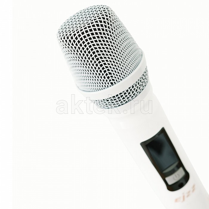 Караоке-колонка с двумя микрофонами SkyDisco SoulTranslation 200Вт 5