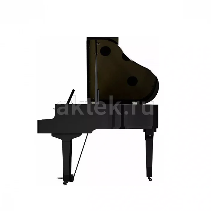 Roland GP 9M PE цифровой рояль-дисклавир, 88 клавиш, самоиграющий механизм 9