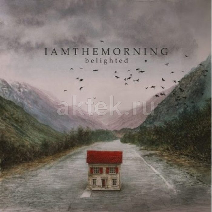 Виниловая пластинка IAMTHEMORNING - BELIGHTED 180 GRAM BLACK VINYL 12"
