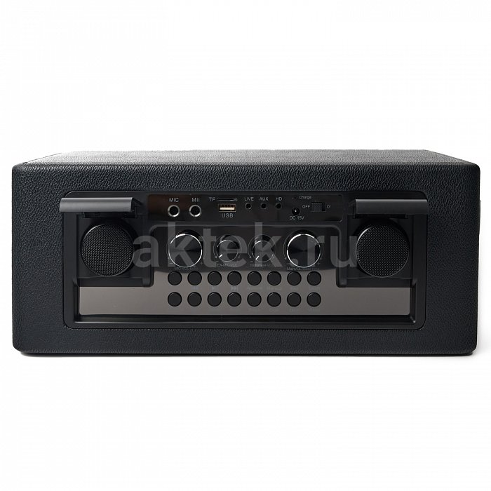 Портативная караоке-колонка с микрофонами SkyDisco YKM23 200 Вт 3