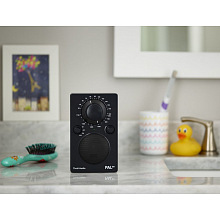 Tivoli Audio PAL BT Black портативный Bluetooth/FM-радиоприёмник с аккумулятором