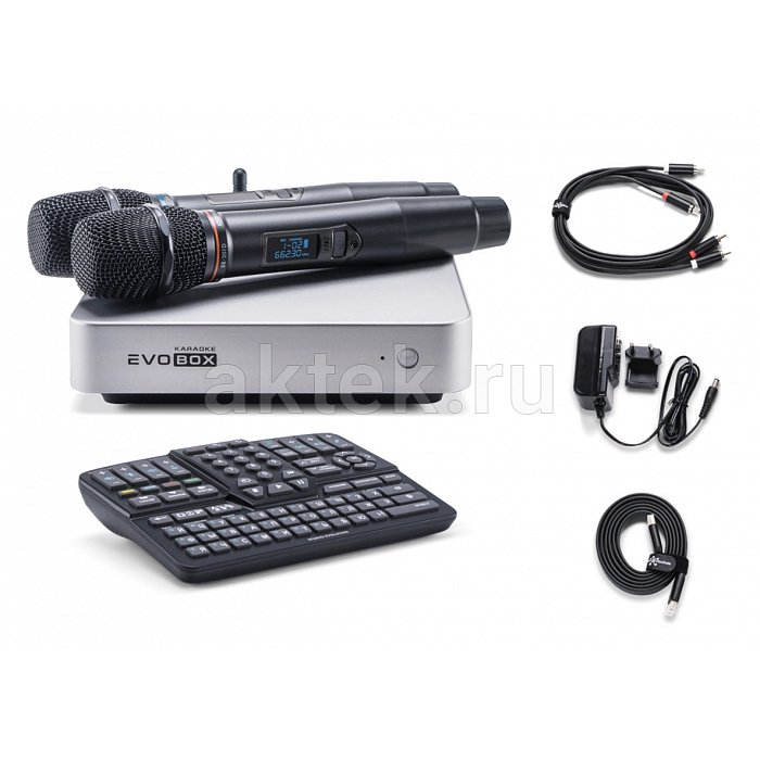 Комплект караоке с микрофонами и саундбаром EVOBOX Classic + EvoSound Bar 2.1 Black 8
