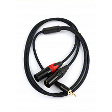 AuraSonics J35Y2XM-1-LONG аудио Y-кабель jack 3,5 -> 2 x XLR, 1 м 3