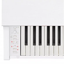 Casio Celviano AP-270WE цифровое пианино, 88 клавиш, молоточковая механика 3