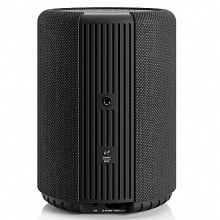 Акустическая система Audio Pro A10 MKII W Black 2