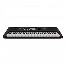 Roland E-X10 синтезатор, 61 клавиша, 64 голоса, 610 тембров 2