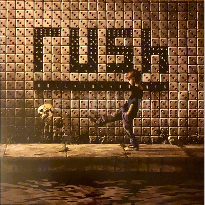 Виниловая пластинка RUSH - ROLL THE BONES BLACK VINYL 12"