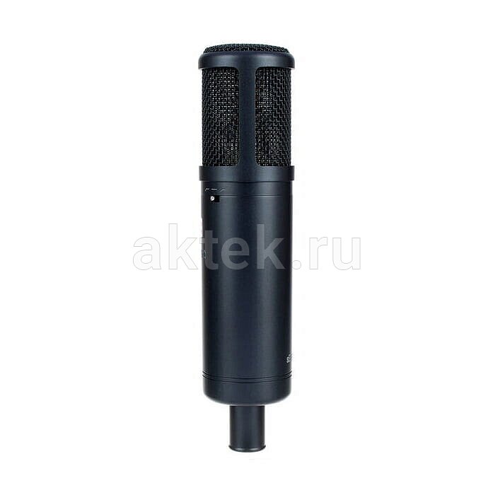 Студийный микрофон sE Electronics sE2200 12