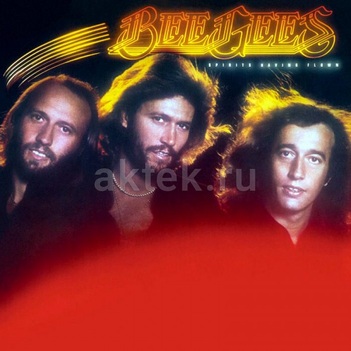 Виниловая пластинка BEE GEES - SPIRITS HAVING FLOWN 180 GRAM BLACK VINYL 12"