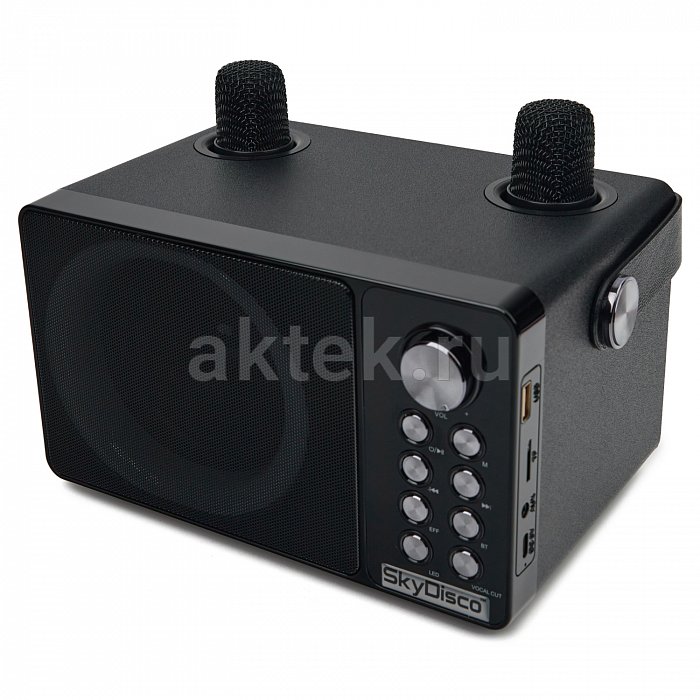 Портативная караоке колонка с микрофонами SkyDisco YS-314 4