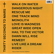 Виниловая пластинка THIRTY SECONDS TO MARS - AMERICA 180 GRAM BLACK VINYL 12" 2