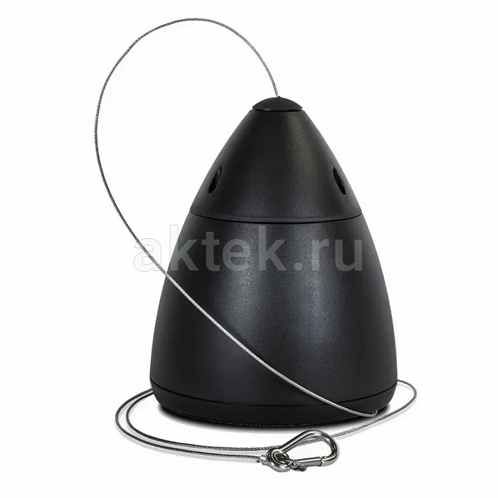 Подвесная акустика Elipson Bell 4 black 3