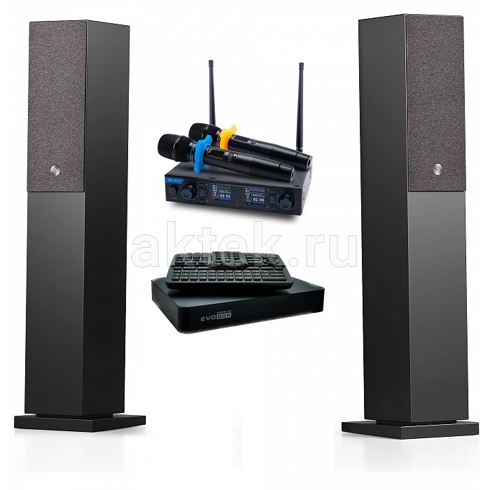 Караоке система с микрофонами и акустикой Studio Evolution EVOBOX Premium+SE 200D+Audio Pro A38