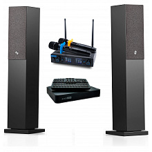 Караоке система с микрофонами и акустикой Studio Evolution EVOBOX Premium+SE 200D+Audio Pro A38