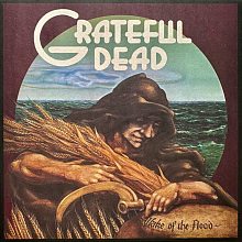 Виниловая пластинка GRATEFUL DEAD - WAKE OF THE FLOOD 180 GRAM BLACK VINYL 12"