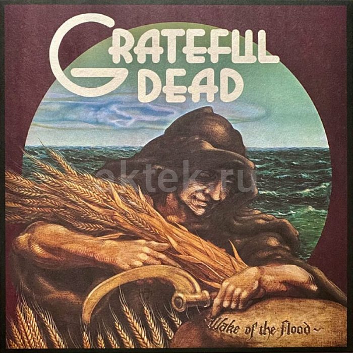 Виниловая пластинка GRATEFUL DEAD - WAKE OF THE FLOOD 180 GRAM BLACK VINYL 12"