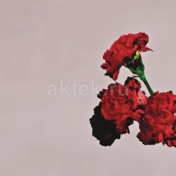 Виниловая пластинка JOHN LEGEND - LOVE IN THE FUTURE 180 GRAM BLACK VINYL 12"