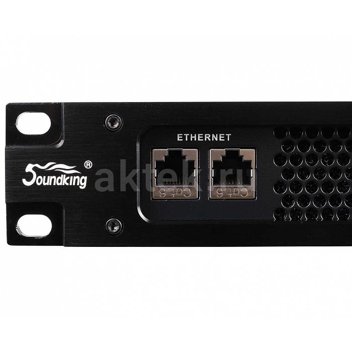 Усилитель мощности Soundking DG4200 3
