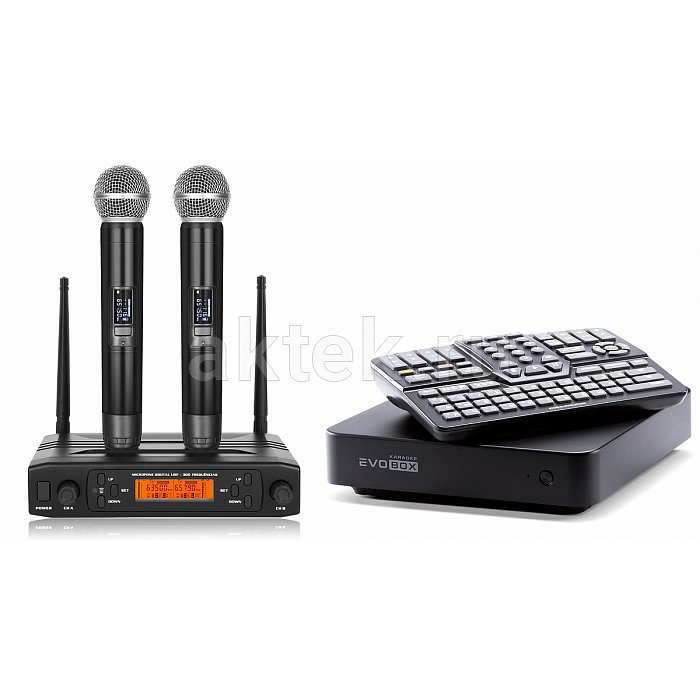Караоке система для дома с микрофонами Studio Evolution EVOBOX+MIC-WL28 Black