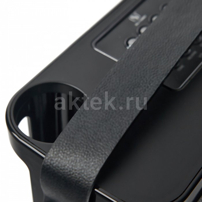 Портативная караоке колонка с микрофонами SkyDisco YS-219 9