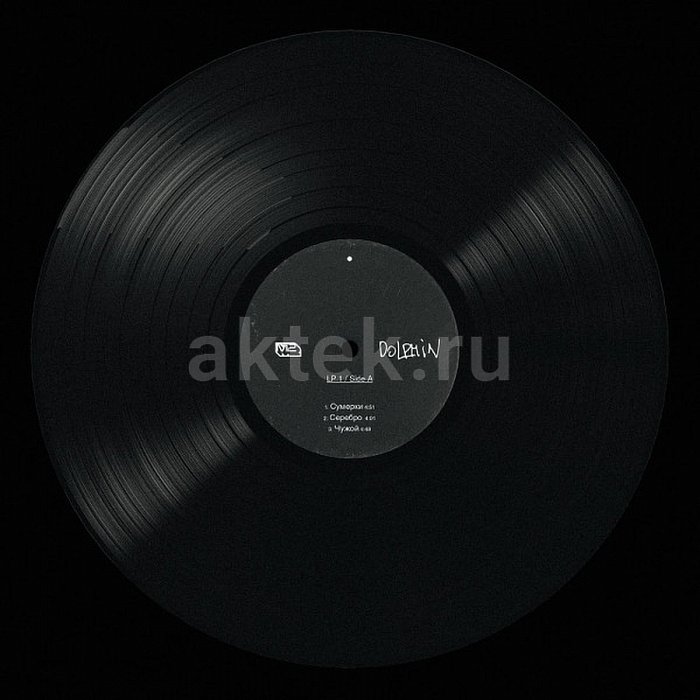 Виниловая пластинка Дельфин — Звезда (2LP, чёрный винил, переиздание 2024) 6