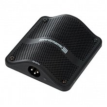 Инструментальный микрофон Beyerdynamic TG D71