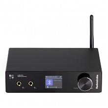 Интегральный стереоусилитель Radiotehnika RTM02 v2