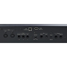 Цифровое фортепиано Roland FP-90X-BK Black 2