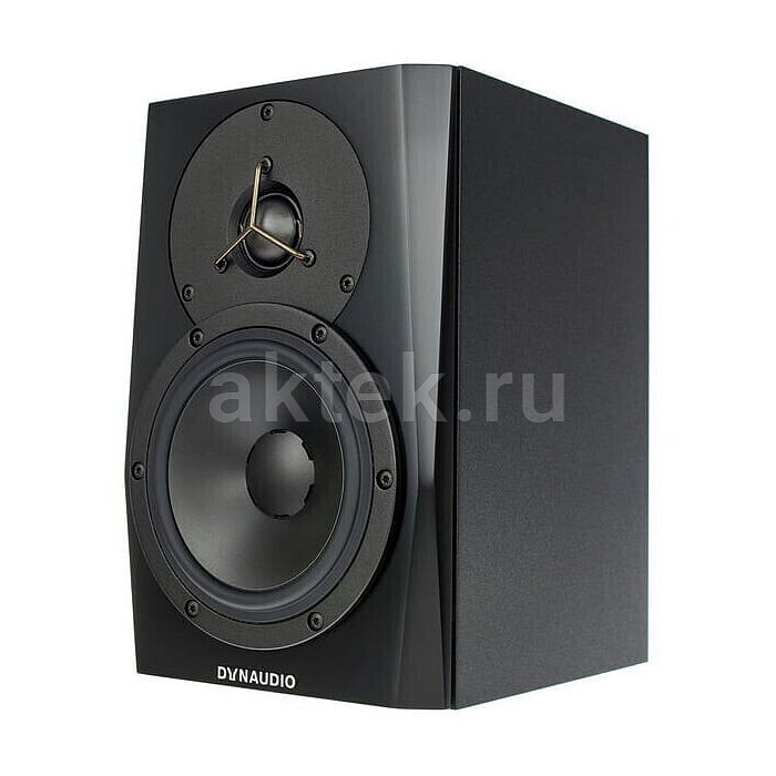 Референсный студийный монитор Dynaudio LYD-5 Black 6