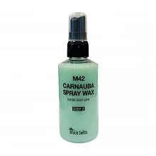 BlackSmith Carnauba Spray Wax M42 защитная полироль-спрей гитарного корпуса
