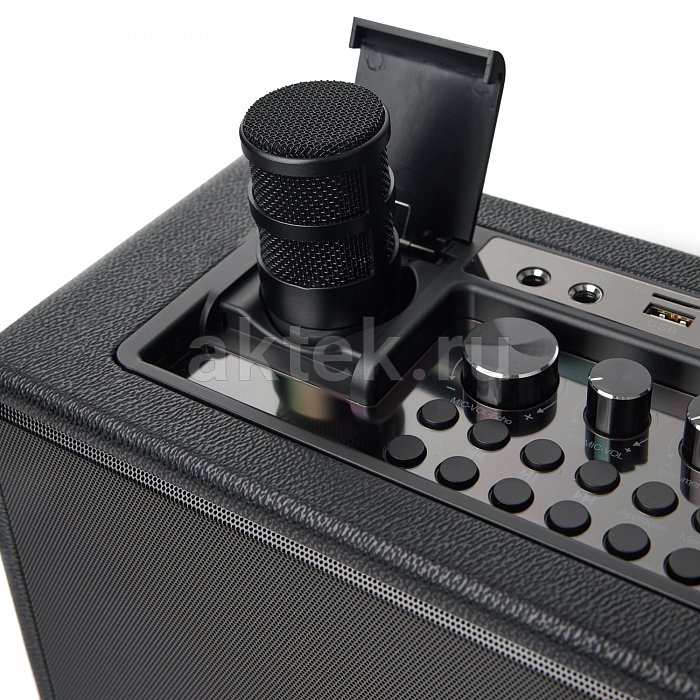 Портативная караоке-колонка с микрофонами SkyDisco YKM23 200 Вт 2